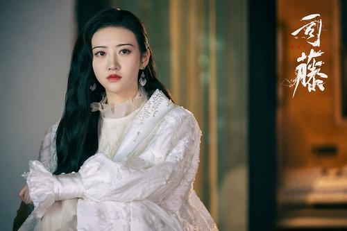 明星海报制作景甜司藤剧照写真定做客厅房间寝室贴画墙画7134