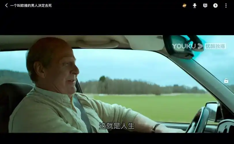 一个叫欧维的男人决定去死电影截图
