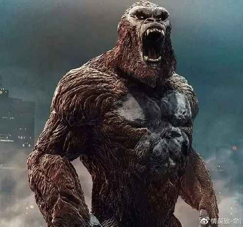 阿凡达最强对手来了排片率达55但院线只剩残羹剩饭