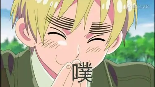 aph表情图源贴吧