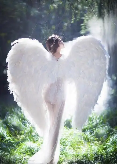 如果人长翅膀了那么翅膀是什么样的