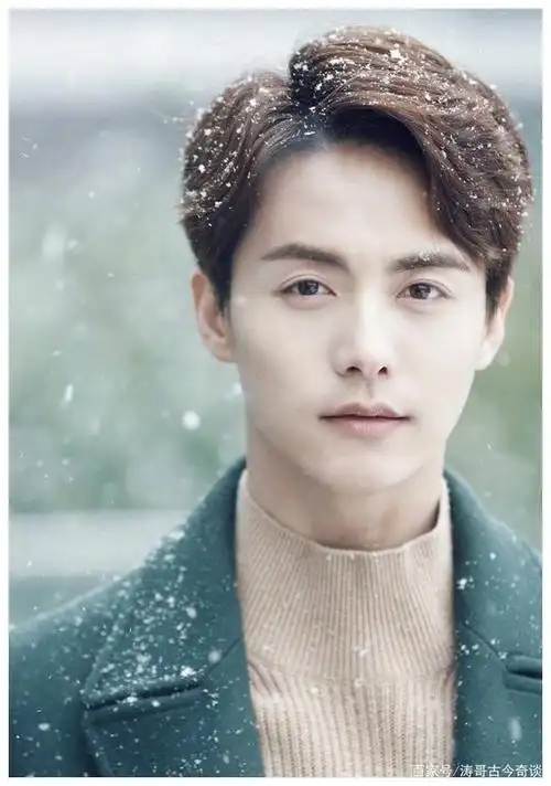 英俊帅气的马天宇