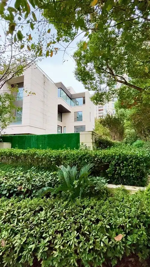 这里的每套别墅价值4套汤臣一品