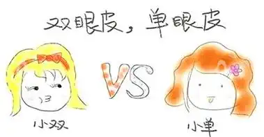 双眼皮和单眼皮对比图