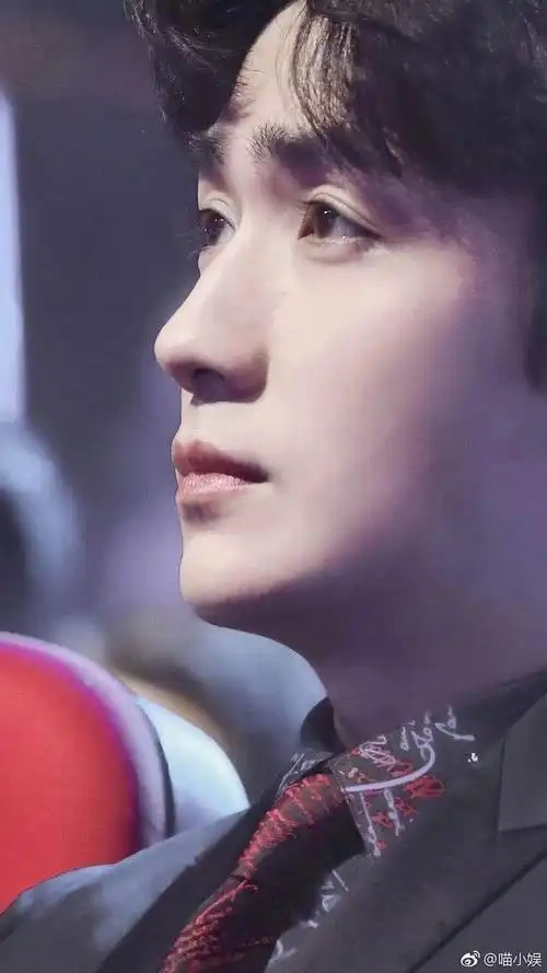 男人的精致鼻子,黄子韬笔挺有力,蔡徐坤赛过女星,而他堪称完美