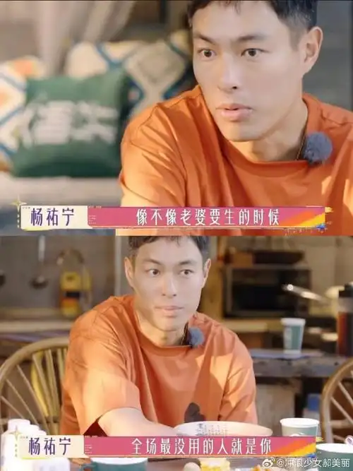 杨祐宁是懂怎么形容忙碌的