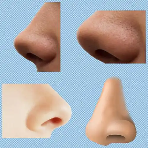 四种鼻子免抠png透明图层素材