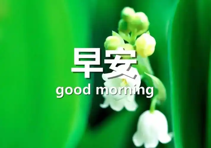 微信早安问候语 早安问候图片