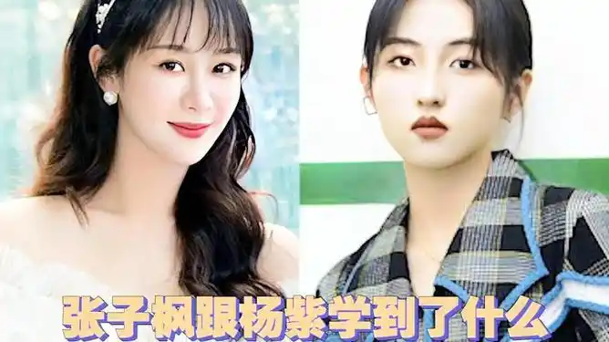 张子枫杨紫加在一起就是语录百科