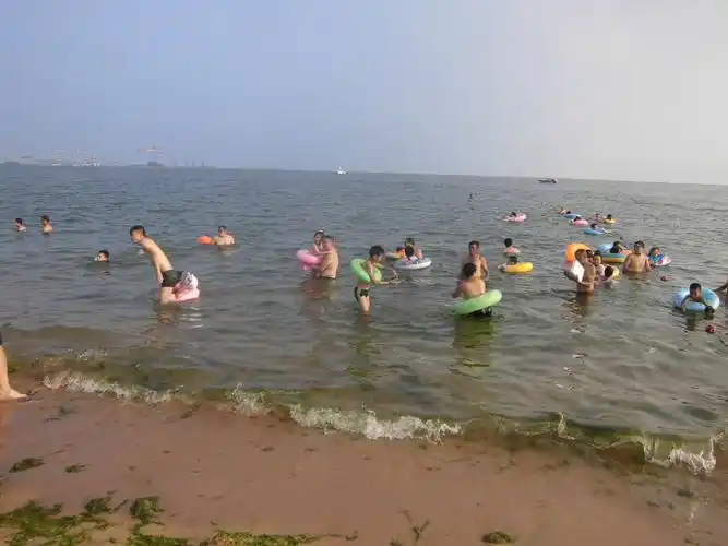 我到大海中游泳,经风雨,见世面!