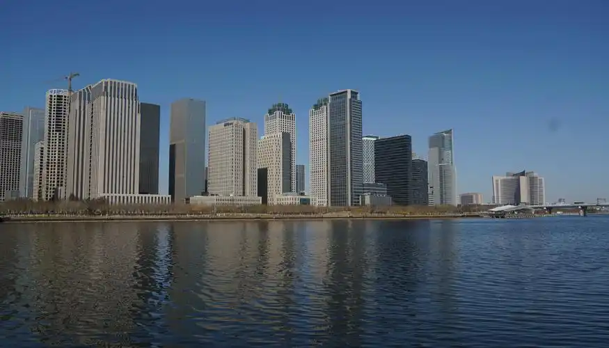 滨海新区响螺湾之翱翔海鸥