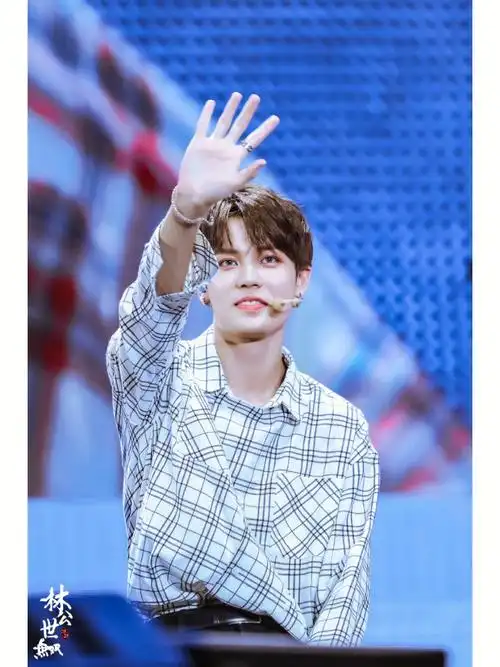 林彦俊笑容甜美格子衬衫壁纸544