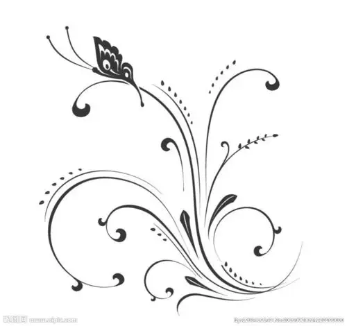 黑白花边花纹图片