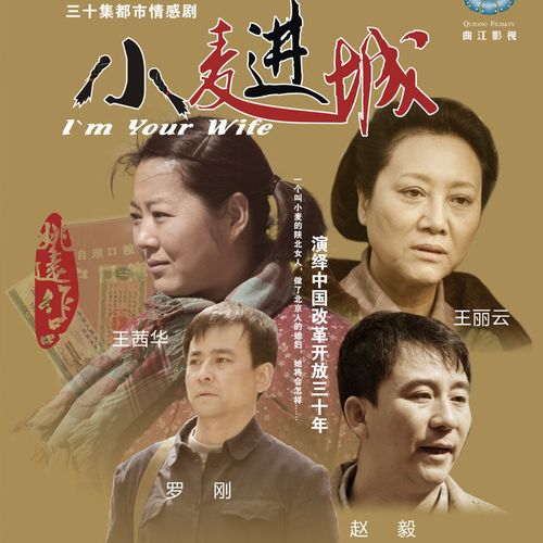 国产剧小麦进城dvd碟片光盘影视剧国语发音普通话电视连续剧全集