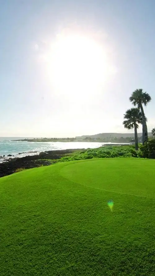 简约阳光草地手机端h5背景