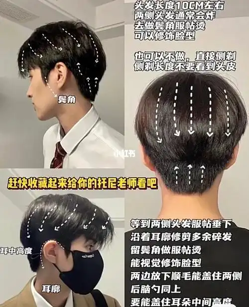 微分碎盖最详细的修剪图拿给你的托尼看