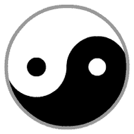 此村盗贼不敢进鬼子进不去炸弹炸不着一查村志不得了