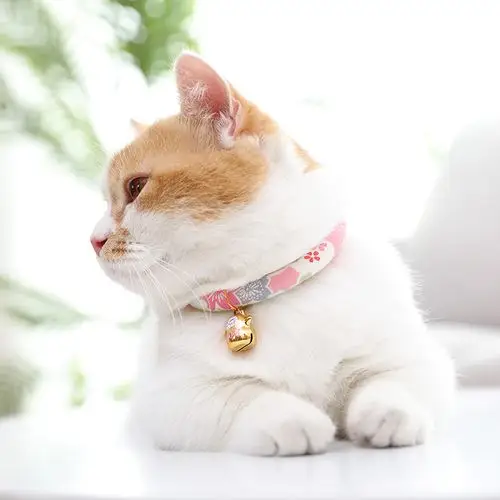 猫咪领结猫铃铛项圈小猫猫脖子饰品可爱颈圈蝴蝶结宠物布偶猫项链