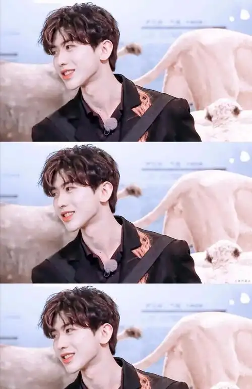 蔡徐坤壁纸你笑起来的样子可爱到犯规治愈生活中的一切不愉快