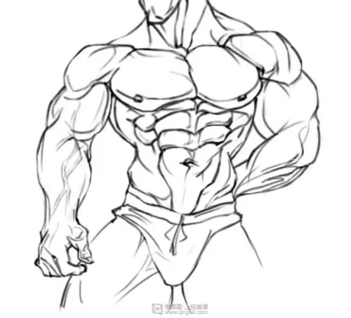 作业:如何学画手绘动漫人物之男性肌肉画法与训练技巧 - 物语