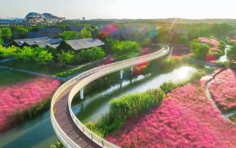 游览宿迁三台山国家森林公园