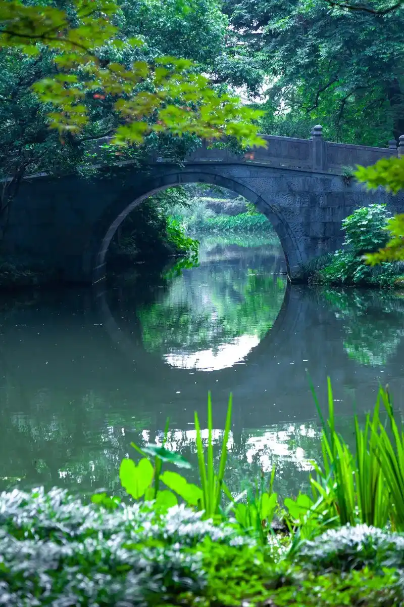 西湖的幽静之地-杨公堤 西湖的美在于春日的绿色,脱俗,淡雅, - 抖音