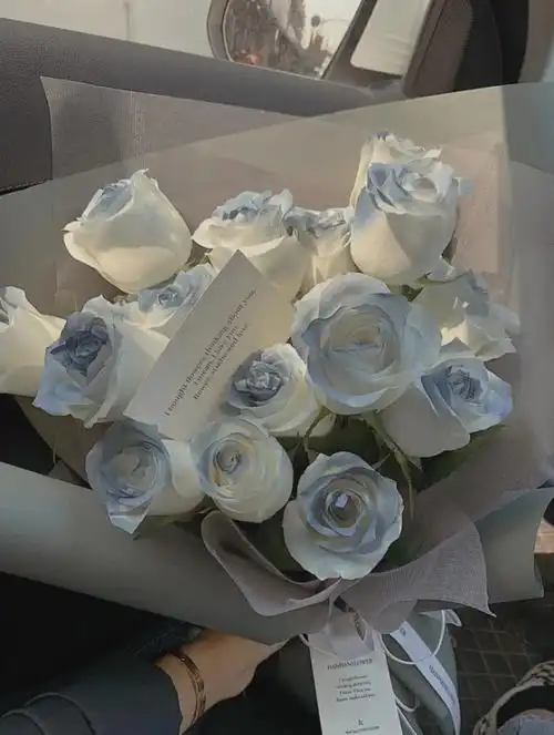 ins超火玫瑰花背景图(ins超火玫瑰花背景图横屏)