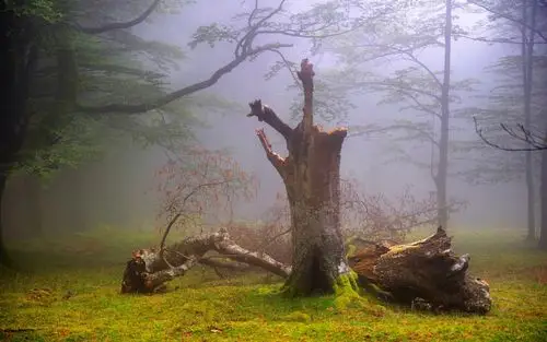 精美锁屏壁纸-风景壁纸-高清风景图片-第11图-娟娟壁纸