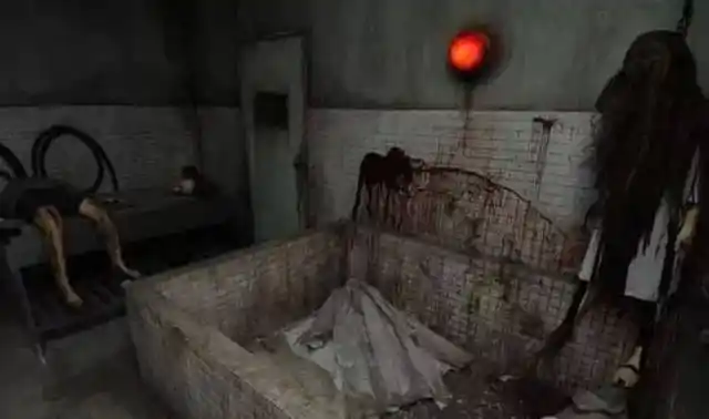 鲜血,脏器,福尔马林.