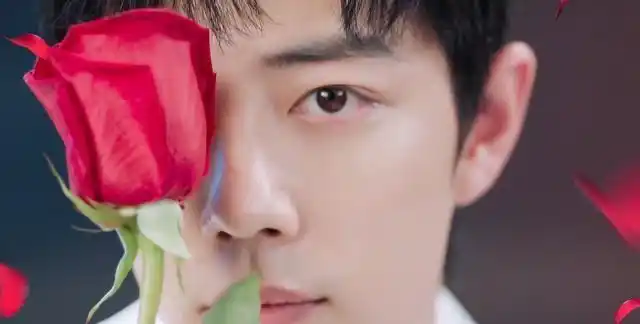 肖战发小玫瑰宣传片粉丝要冰释前嫌