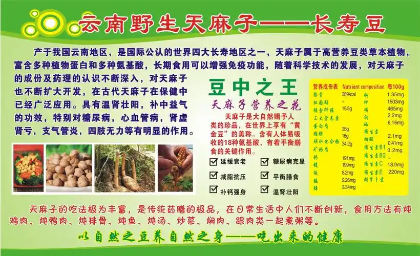 大庆天麻子展会野生天麻子厂家批发