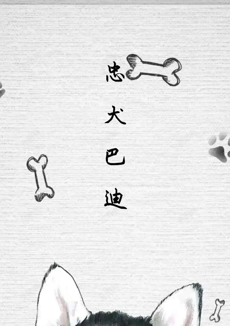 忠犬巴迪.#上热门 #图文来了 #英语阅读 #宝宝启蒙 #童 - 抖音