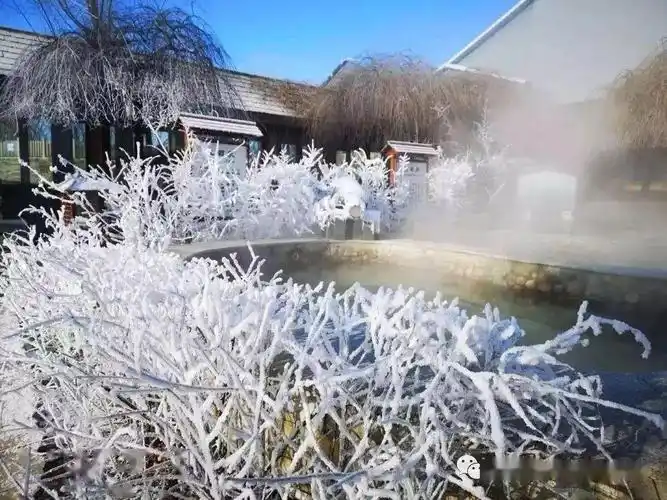 吉雪滑雪 圣德泉2日游 297元 滑雪 雪圈 提前预定送麻将房_温泉