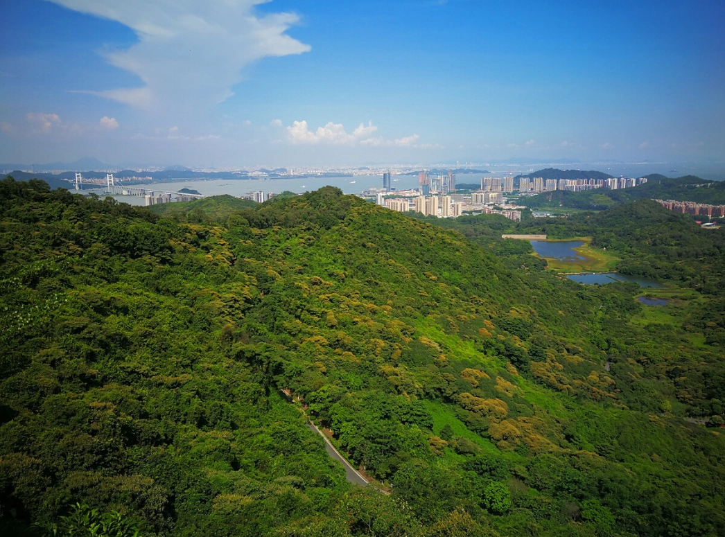 在广州想爬山看海还想赏湖,那只能去黄山鲁森林公园了,还免费!