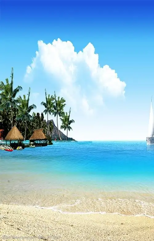 海边风景椰树帆船玄关