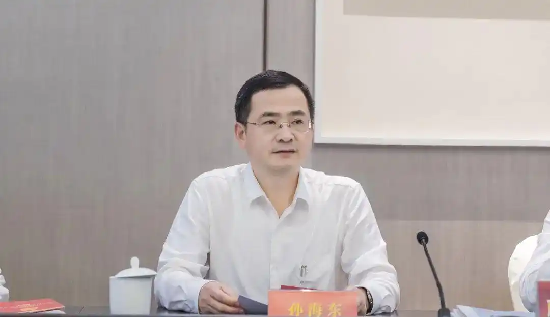 孙海东参加山水城代表团审议