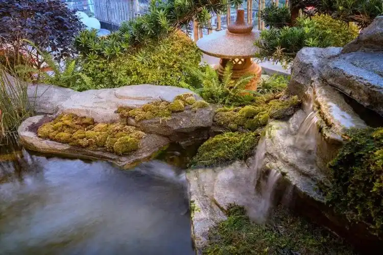 风水池什么形状好图片家中风水