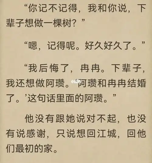 维和部队特种兵李瓒和战地记者宋冉的故事——《白色橄榄树》这本小说