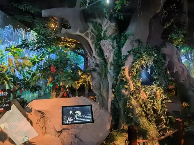 魔都终于也有巧克力博物馆啦!