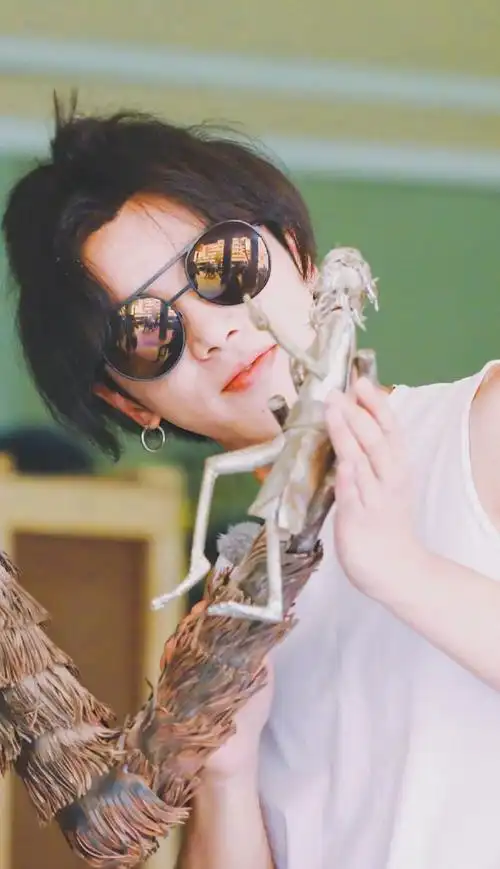 有我们华揪揪能参与的话题了@华晨宇yu