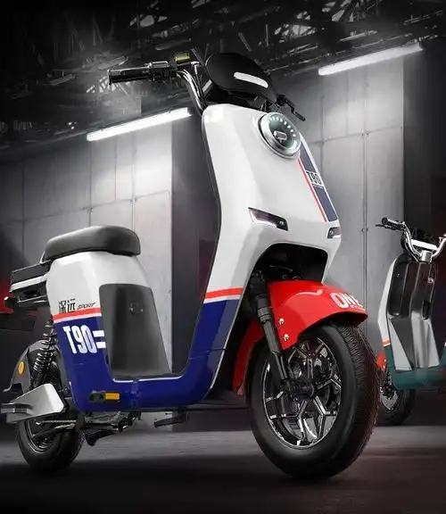 直降900元远方t9048v60a磷酸铁锂电池电动车史低价3874元