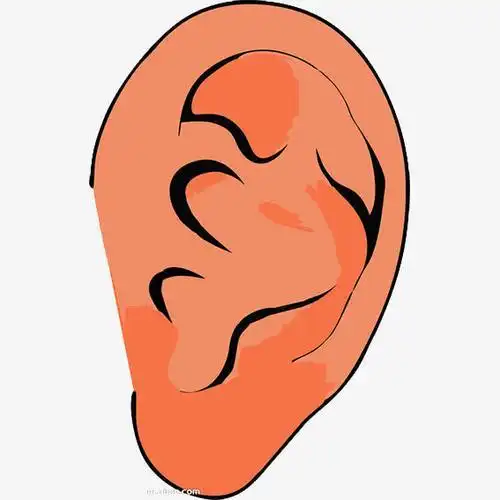 耳朵彩色简笔画