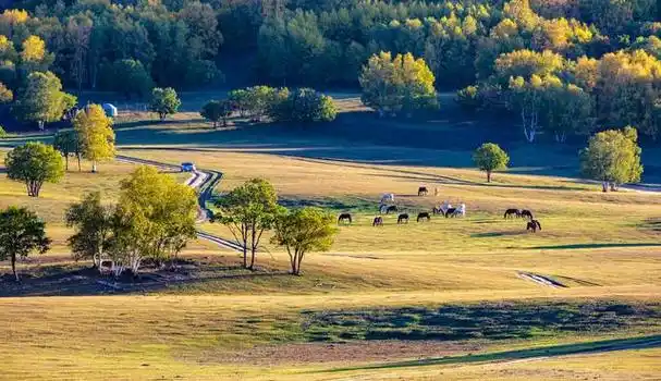 坝上草原,位于中国河北省张家口市张北县,是一个广袤而美丽的草原景区