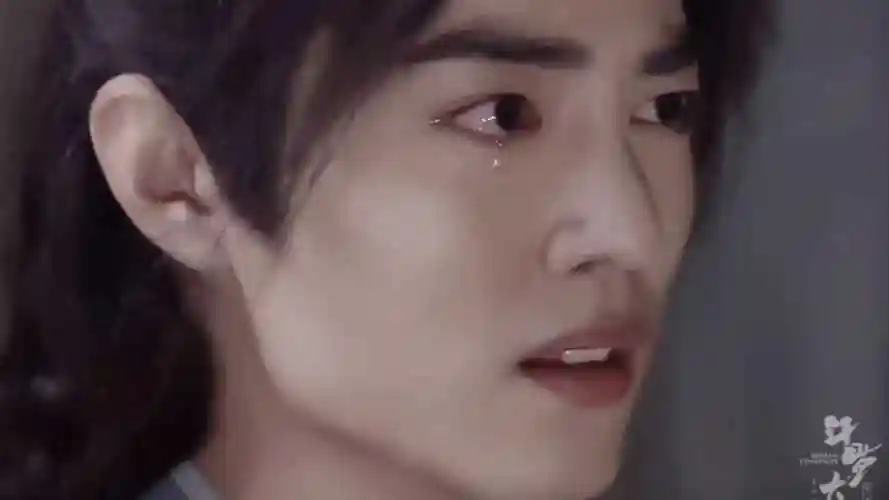 肖战斗罗大陆xz肖战唐三这哭戏哭煞我也