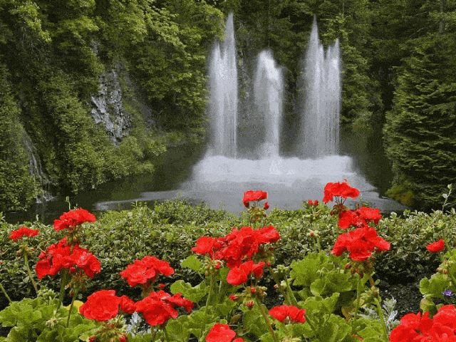 640_480gif 动态图 动图