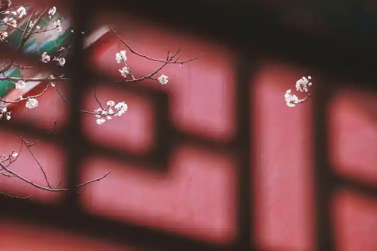 一波古风背景图