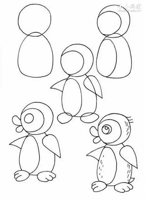 企鹅简笔画_企鹅简笔画图片大全与教程_狸猫故事网