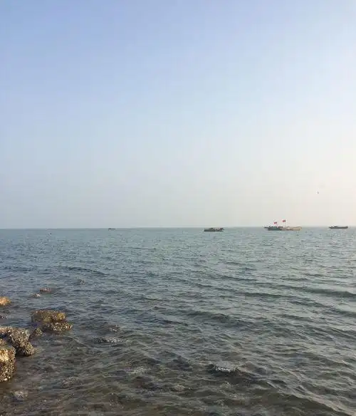 天津看海海边游玩路线推荐