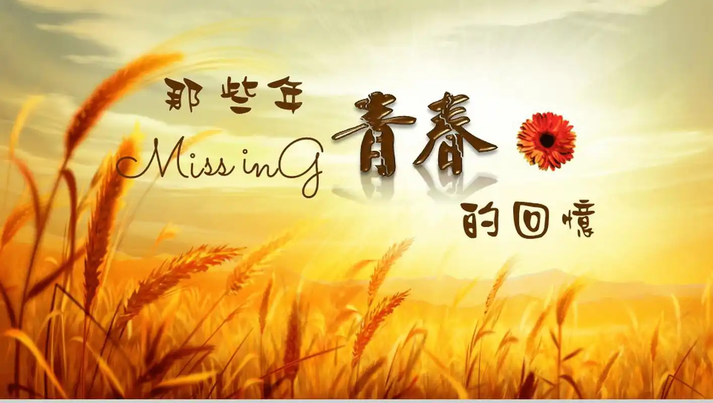 浪漫唯美同学聚会怀旧青春相册回忆16素材ppt模板精选