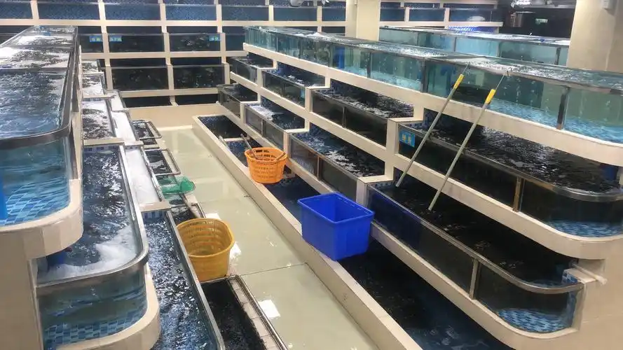 写美篇       除石斑鱼之外,成都大顺发水产店将根据市场需求提供